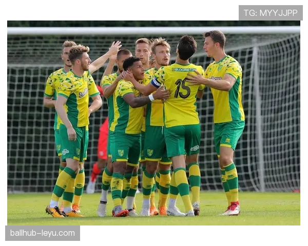 诺维奇球迷忠诚助威，球队逆转回暖迎转机